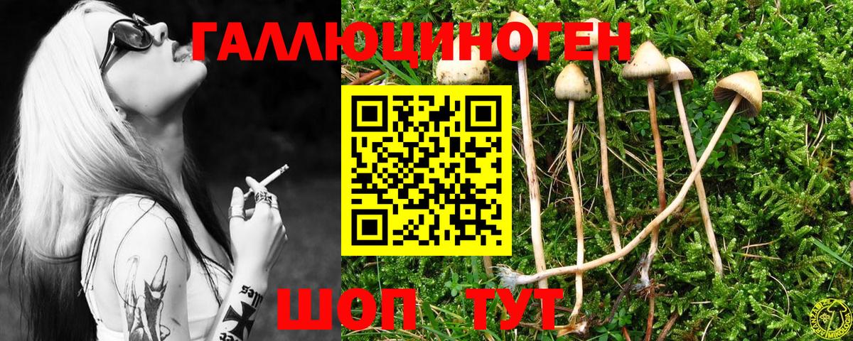 Галлюциногенные грибы Cubensis  купить наркоту  Соль-Илецк  Вход с VPN 
