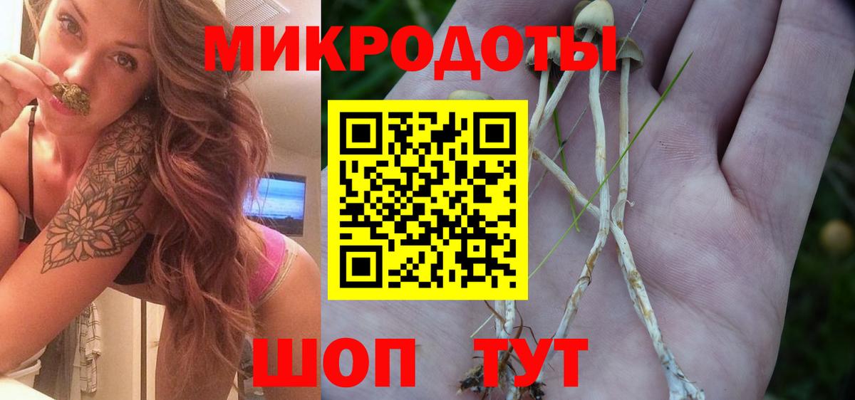 Галлюциногенные грибы MAGIC MUSHROOMS Соль-Илецк